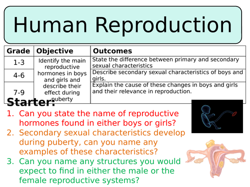 New Aqa Gcse Trilogy 2016 Biology Human Reproduction Teaching 7032