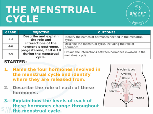 NEW AQA GCSE Trilogy (2016) - The menstrual cycle