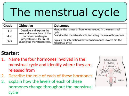 NEW AQA GCSE Trilogy (2016) - The menstrual cycle