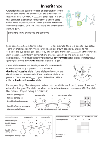 Inheritance Worksheet Teaching Resources