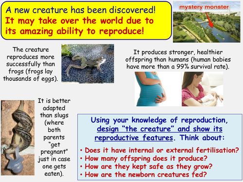 Year 7 Reproduction Creative Homework task