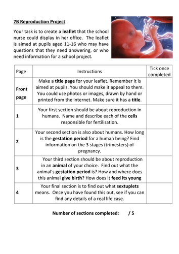 Year 7 Reproduction - Homework Project