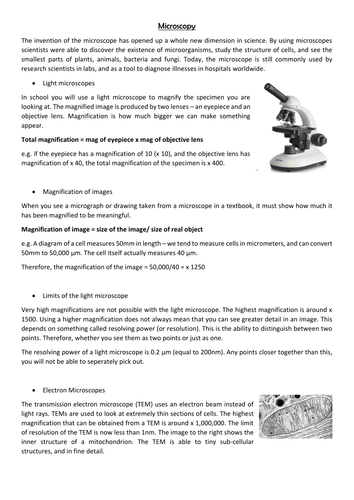 Microscopes comprehension activity