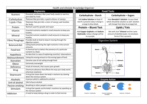 Y8 Health, Lifestyle, Diet and Exercise Knowledge Organiser