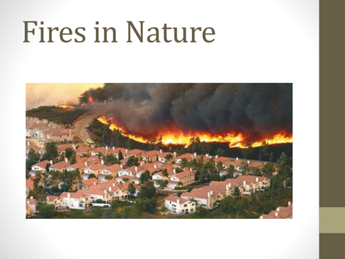 Wildfires in Nature AQA Hazards A-Level