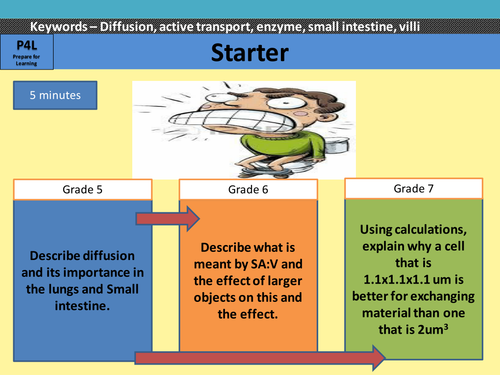 Efficient Transport and exchange Powerpoint including SA:V