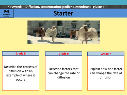 Factors affecting diffusion including Ficks law