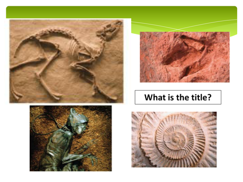 New GCSE - Fossilisation