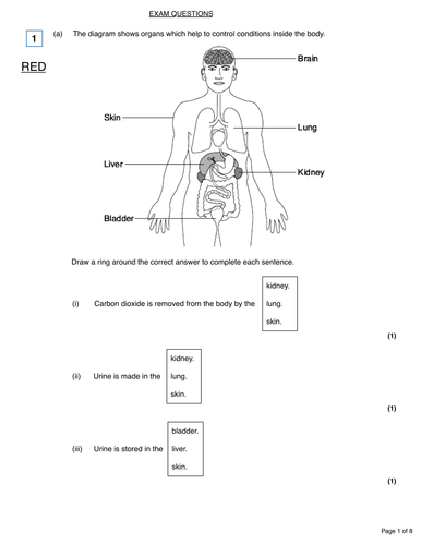 Homeostasis new GCSE lesson