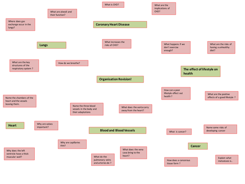 New GCSE Organisation revision activity