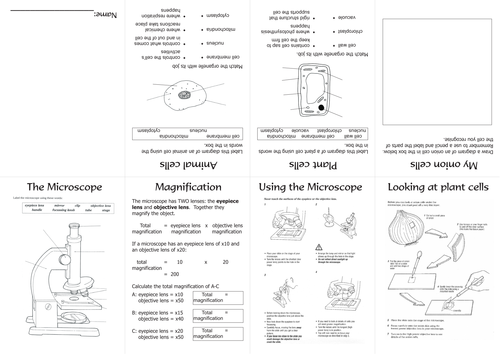 Microscope and cells mini-book for students to complete and personalise