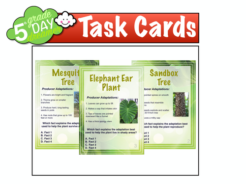 Plant Adaptation Task Cards