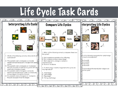Life Cycle Task Cards