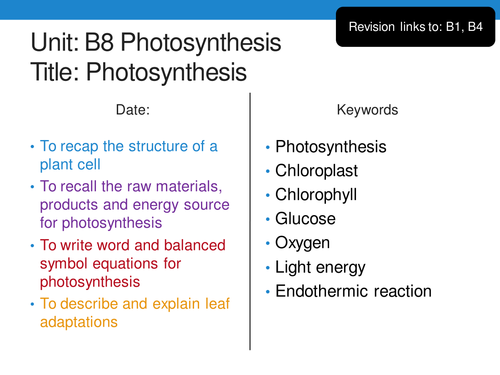 New GCSE 9-1 AQA Biology B8 Photosynthesis