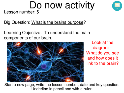 Lesson on the brain AQA new GCSE