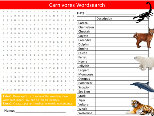 Carnivores Wordsearch Animals Creatures Nature Starter Settler Activity Homework Cover Lesson