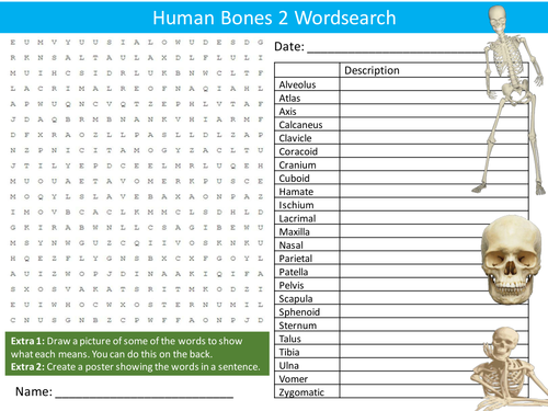 Human Bones 2 Wordsearch Anatomy Biology PE Starter Settler Activity Homework Cover Lesson