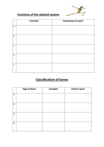 Worksheet for Skeletal System | Teaching Resources