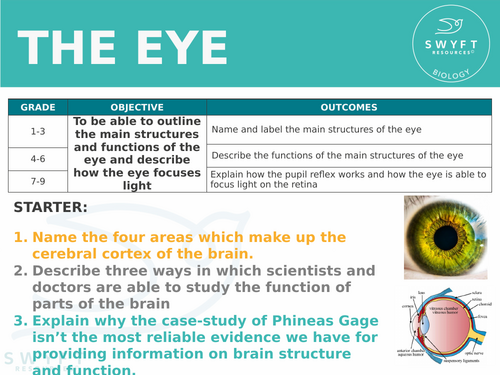 NEW AQA GCSE Biology (2016) - The eye HT