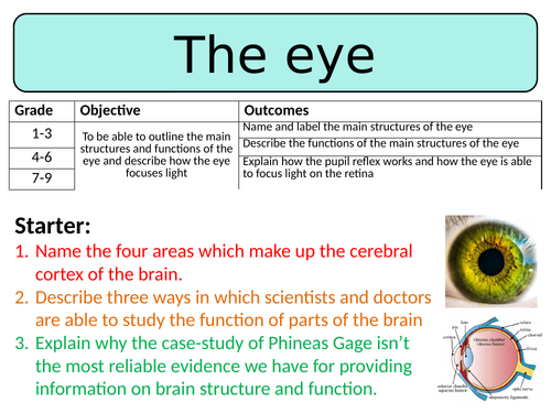 NEW AQA GCSE Biology (2016) - The eye HT