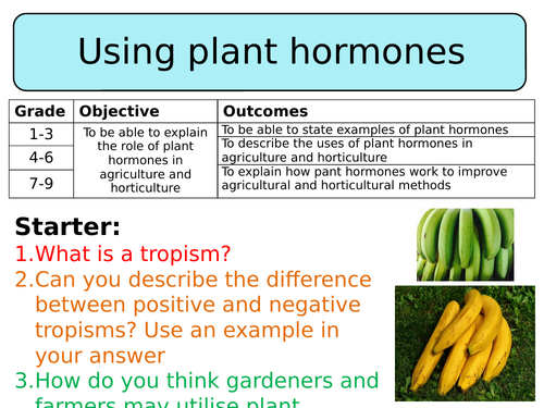 The use of plant hormones in horticulture