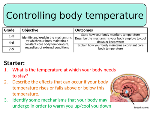 Year 7 - Year 10 Science Controlling Body Temperature Cards