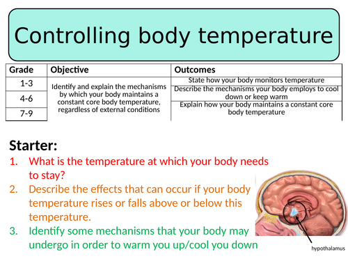 NEW AQA GCSE Biology (2016) - Controlling body temperature HT