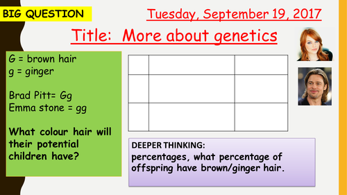 AQA new specification-More about genetics-B13.8