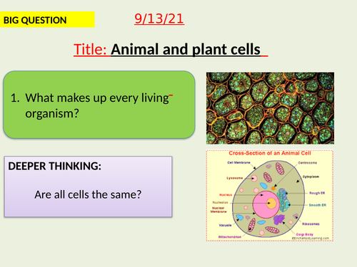 AQA new specification-Animal and plant  | Teaching Resources