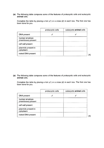 Eukaryotes and Prokaryotes