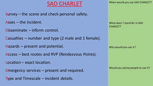 SAD CHARLET REVISION: UNIT 13 COMMAND AND CONTROL IN PUBLIC SERVICES