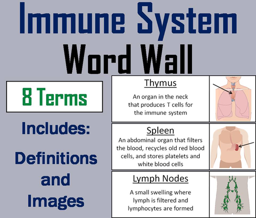 Immune System Word Wall Cards