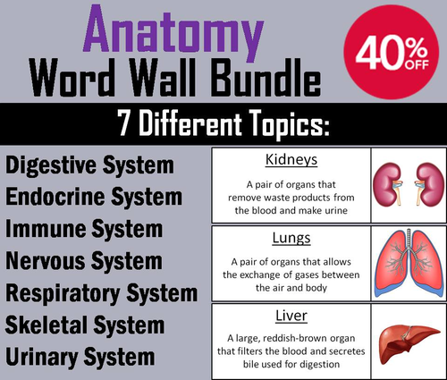 Anatomy Word Wall Bundle: The Human Body Systems