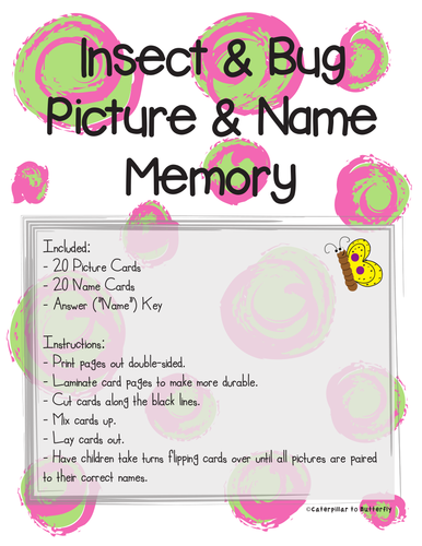 Insect Bug Picture and Name Memory