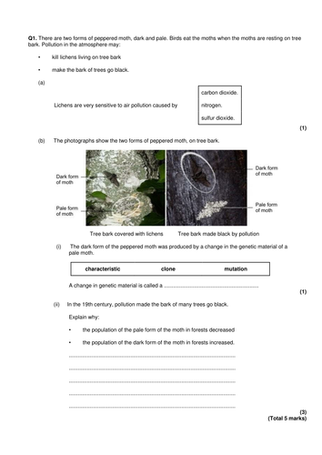 New GCSE - Natural Selection