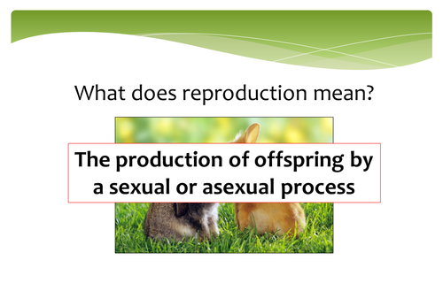 New GCSE - Asexual and Sexual Reproduction