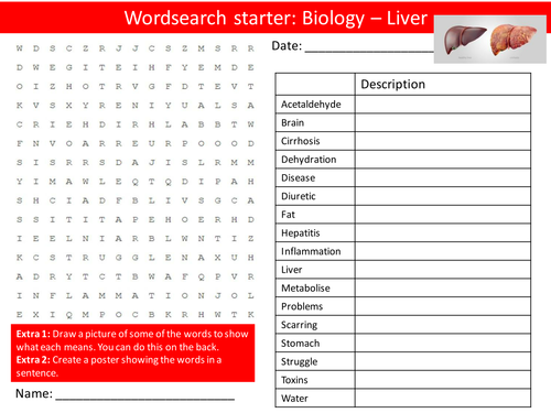 The Liver Wordsearch Biology Science Starter Settler Activity Homework Cover Lesson