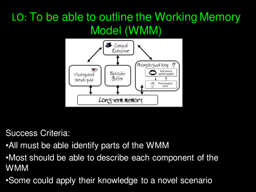 Describe the working online memory model