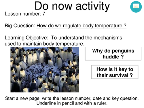 Regulating body temperature lesson (New GCSE AQA)