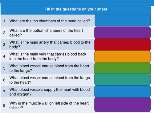 New GCSE 9-1 AQA Biology B4 Breathing and Gas Exchange