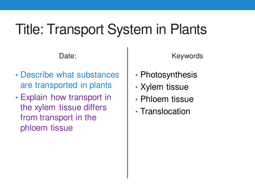 New GCSE 9-1 AQA Biology B4 Transport Systems in Plants
