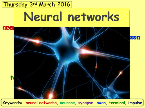 AQA Biomimicry - Neural Networks (W4L1 )