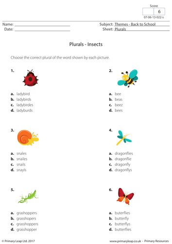 Plurals - Insects