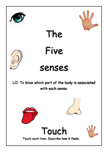 Five Senses Resource Pack