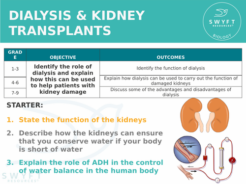 NEW AQA GCSE Biology (2016) - Dialysis & kidney transplants HT