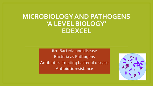Edexcel A level Biology:Bacteria as pathogens