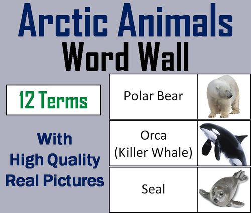 Arctic Animals Word Wall Cards