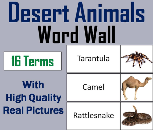 Desert Animals Word Wall Cards