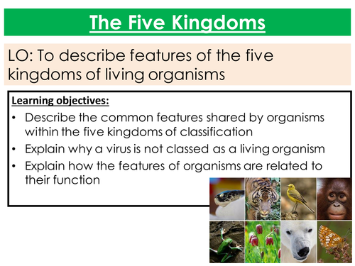 New AQA biology five kingdoms lesson