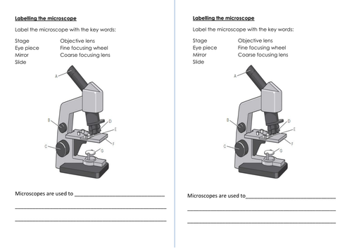 New AQA biology microscope lesson